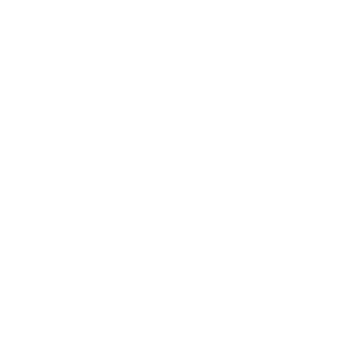 Icono PDF