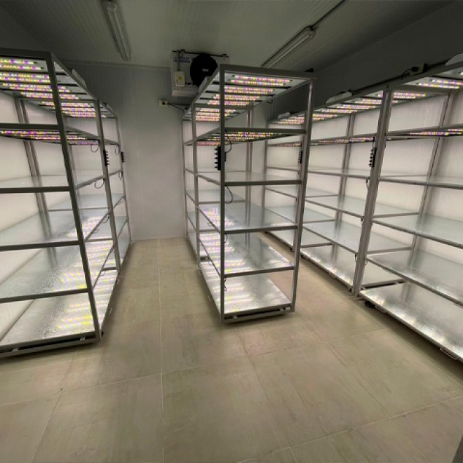 rack-phitology-06