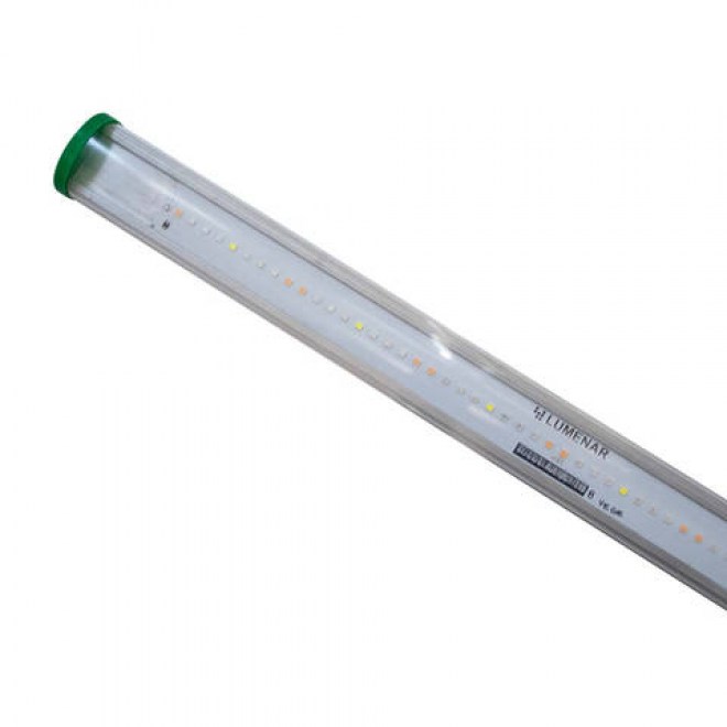 tubo-t8-03